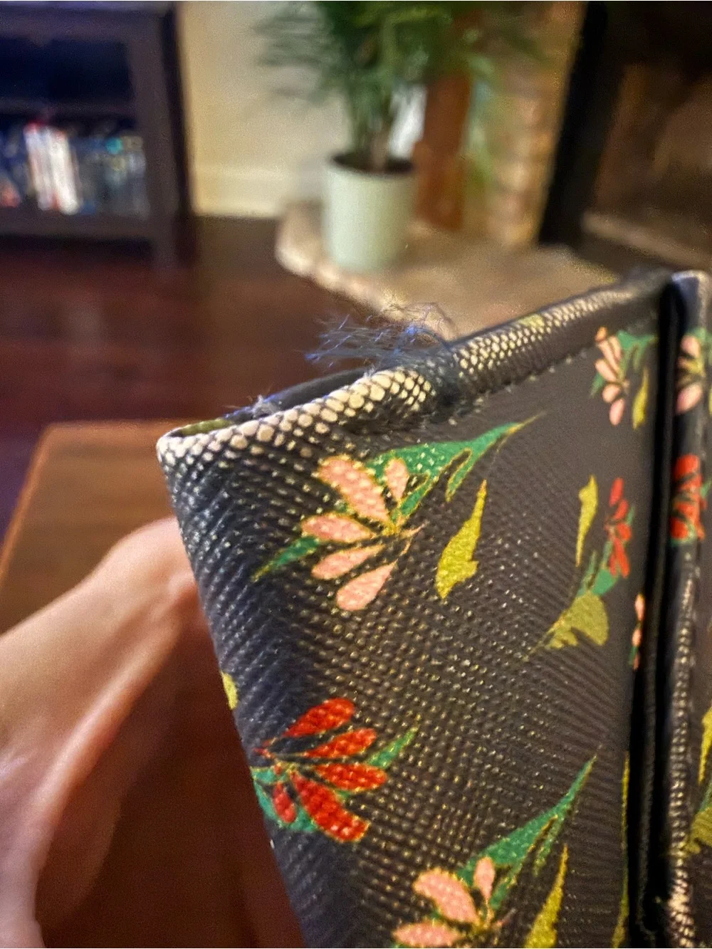 Red Leather Crossbody Bag (probably not real leather) and small wallet
